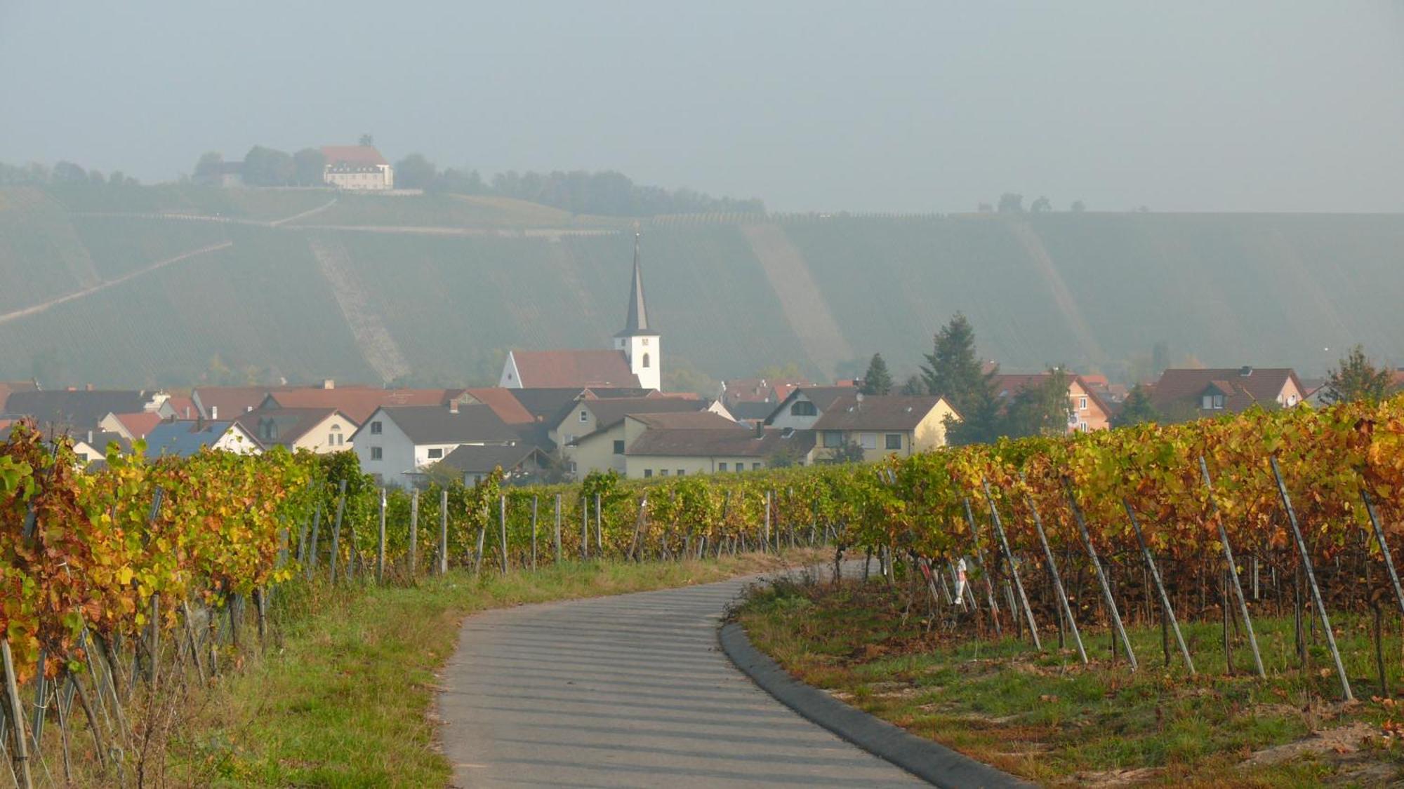Weingut Herbert Kram Nordheim am Main Luaran gambar