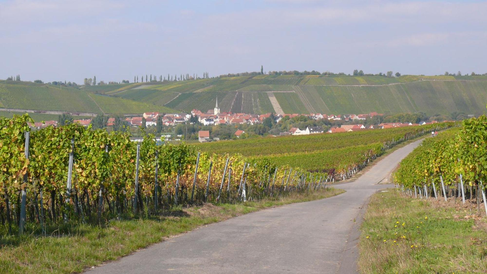 Weingut Herbert Kram Nordheim am Main Luaran gambar