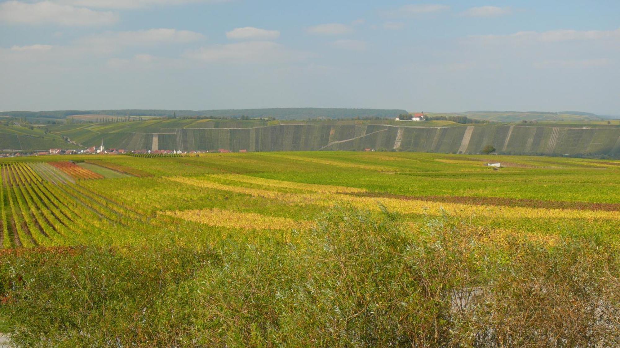 Weingut Herbert Kram Nordheim am Main Luaran gambar